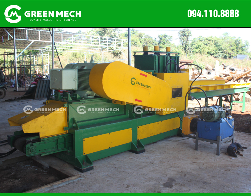 mùn cưa phủ gốc cây