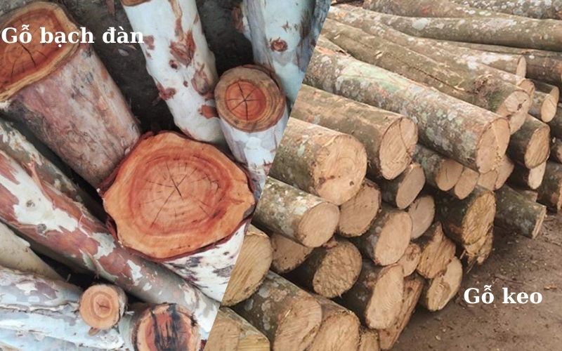 Dăm gỗ giúp doanh nghiệp chủ động nguồn đốt
