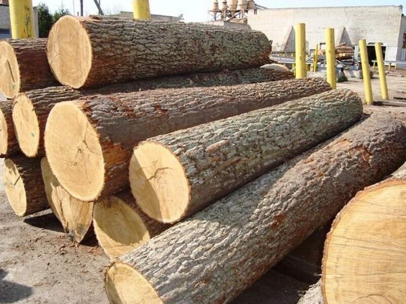 Dăm gỗ làm nguyên liệu sản xuất bột giấy