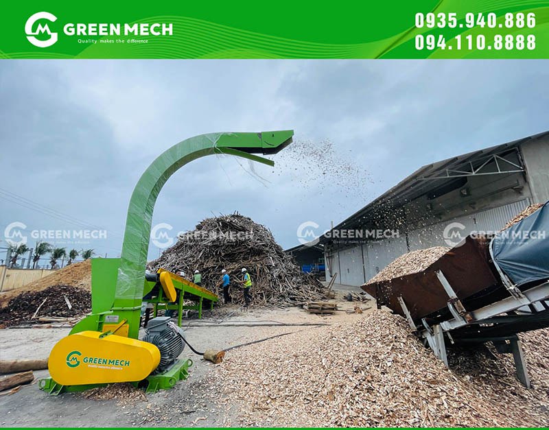 Phân loại gỗ rừng trồng theo kích thước và mục đích sử dụng trước khi đưa vào chế biến.