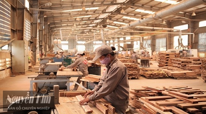 Dăm gỗ giúp doanh nghiệp chủ động nguồn đốt