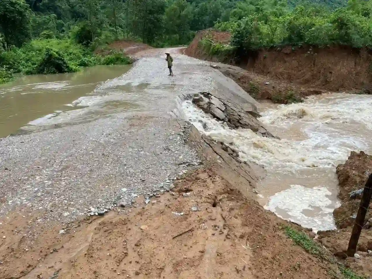 mùn cưa hạn chế xói mòn đất