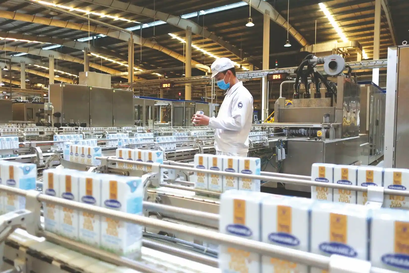 Mùn cưa làm nguyên liệu đốt lò hơi
